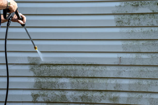 Best Hoarding Cleanup  in Jeffersontown, KY
